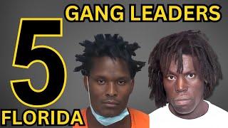 Gang Leaders of FLORIDA: True Crime Stories