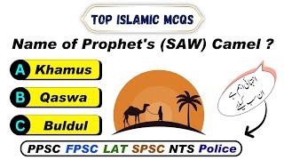 Top Islamic MCQs For all Competitive Exams |  PPSC, FPSC, NTS, LAT, SPSC, ASF, POLICE \