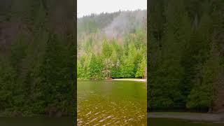 Rainy Lake Sounds ASMR - Serene Scenes