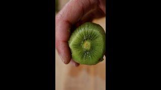 Cutting Kiwi Fruit #shorts