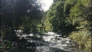 The River Douglas from Crook to Gathurst