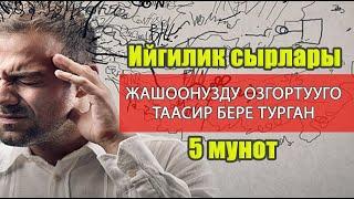 Ийгилик сырлары! Жашоонузду озгортууго таасир бере турган 5 мунот.