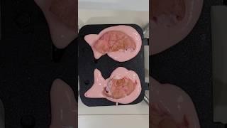 핑크 붕어빵 