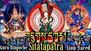 Remove Obstacles-Guru Rinpoche, Sitatapatra & Lion-Faced Dakini Prayer|གུ་རུ་གདུགས་དཀར་སེང་གདོང་མ།