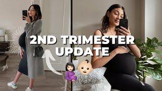 2ND TRIMESTER PREGNANCY UPDATE | weeks 13-28 