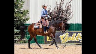 Wally -AQHA Ranch Riding #9 -GNG Summer Show July 11, 2020