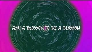 SIlentblossomsclub2