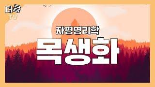 [자평 명리학] 목생화 木生火