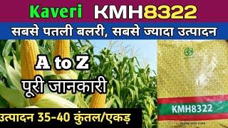 kmh8322 makka | kaveri 8322 makka | 8322 makka | kaveri hybrid maize 8322 | 8322 corn detail info