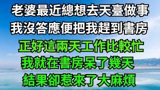 老婆最近總想去天臺做事，我沒答應便把我趕到書房，正好這兩天工作比較忙，我就在書房呆了幾天，結果卻惹來了大麻煩！【年華妙語】#落日溫情#情感故事#花開富貴#深夜淺讀#深夜淺談#家庭矛盾 #爽文