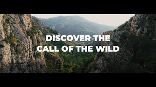 Call of the Wild | Flexible Private Trips | Thompsons Holidays