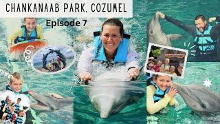 Chankanaab Adventure Park - Cozumel - Dolphin Swim Review & Sea Lion Show