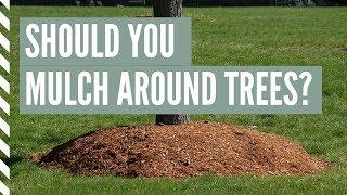 Should you mulch around trees? | Catherine Arensberg with Chris Francis