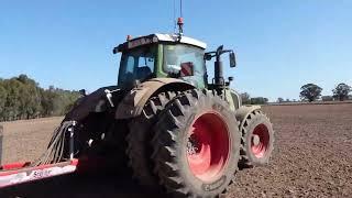 Planting rice and making hay