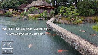 4k ASMR | Walking in the Rain in Japanese Garden | Korakuen, Okayama | for Sleep and Study | 岡山後楽園