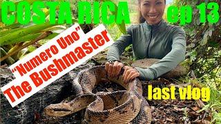 COSTA RICA | ECOZOO-BUSHMASTER | EP. 13