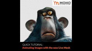 Quick Tutorial: Animating Images with the new Live Mesh