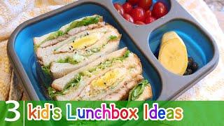 快手便当: 千层照烧鸡鸡蛋三明治 (也适合野餐)|(EZ)kid's Lunchbox Ideas#3 孩子的午饭盒便当盒