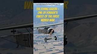The Flying Razor - WW1 Fokker D.VIII Monoplane