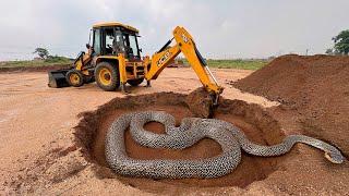 Snake Capture On JCB Working Place | Attack On Driver | Making Pool On Snake Areas #snake #jcb