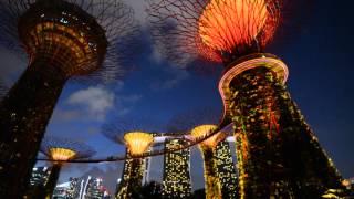 Gardens by the Bay - Chinese New Year 2016 - Light Show