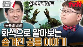 공룡은 새의 조상이다? 화석으로 푸는 '지구상 최강의 지배자' 공룡의 비밀 #highlight #벌거벗은세계사 EP.151