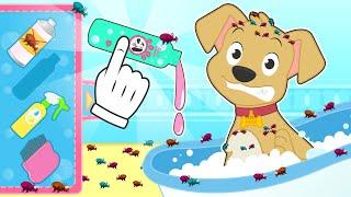BABY PETS  How to cure a dog with FLEAS