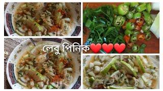 লেবু পিনিক | মুখের রুচি বাড়ানোর ম্যাজিক | Recipe by Nadira khanom bd