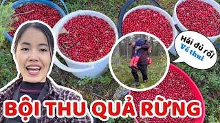 Chồng Phần Lan vào rừng vác vợ về vì quá mải mê kiếm tiền - Thúy Jyri Family Phần Lan