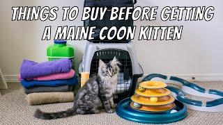 Things to Buy Before Getting a Maine Coon Kitten