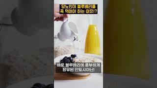 당뇨 혈당관리에 딱 좋은 과일!? 블루베리! 왜 좋을까 #당뇨관리 #당뇨추천 #당뇨과일