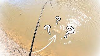 Murray river Fishing in summer