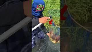 #fishingtime #perch #kayakfishing #tightlines #carplife #carpy #adventure #river #fishingday #fish