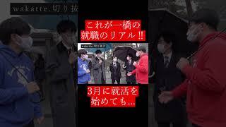 【wakatte.切り抜き】これが一橋の就職のリアル‼#shorts #wakattetv #一橋大学 #就職