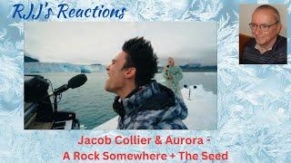 Jacob Collier & Aurora - A Rock Somewhere x The Seed (Greenpeace)   RJJ's Reaction