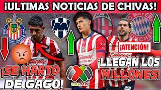 ULTIMA HORA SE VA DE CHIVAS? RAYADOS FICHARIA AL POCHO! LO VENDEN POR MILLONADA A COWELL! REGRESA