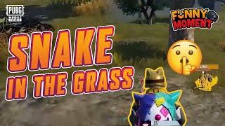 Snake In The Grass #SHORTS