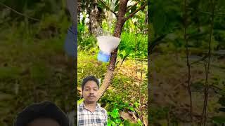 Plant Growing Hack #satisfying #prajapati #bonsai #farming #tech #nature #growing #growth
