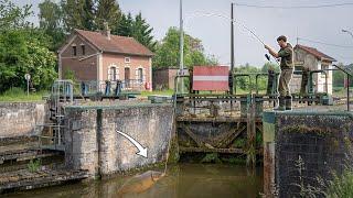 I Caught A Carp Next To The Lock! - Canal Fishing