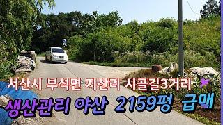 서산땅 전원주택 중개전문채널  야산 2159평 급매