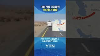 한국 대사관의 발 빠른 대처 #shorts / YTN