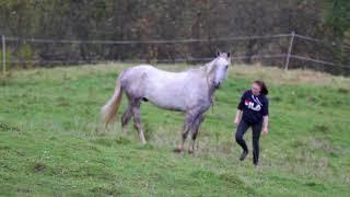 THUNDER | Liberty working with Lord