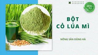 BỘT CỎ LÚA MÌ HỮU CƠ
