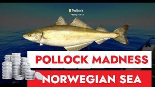 RUSSIAN FISHING 4 - NORWEGIAN SEA - POLLOCK SPOT SILVER FARMING