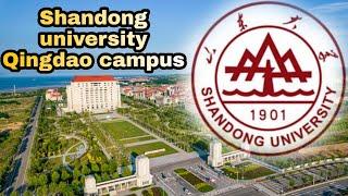 Shandong university | Shandong university Qingdao campus | Student life in China | walkingTour |山东大学