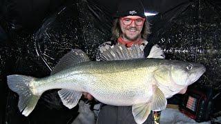 Bucking Bronco Winter Walleye - Uncut Angling - February 18, 2014