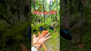 اگر دنبال همه چی هستی پس گوش بده #پادکست #پیشرفت #رویایی #زندگی #داستان