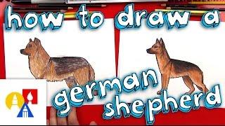 How To Draw A German Shepherd