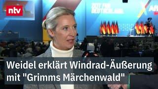 Weidel erklärt Windrad-Äußerung mit "Grimms Märchenwald" - AfD-Vorsitzende im Interview | ntv