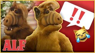 ALF's Best One-Liners!